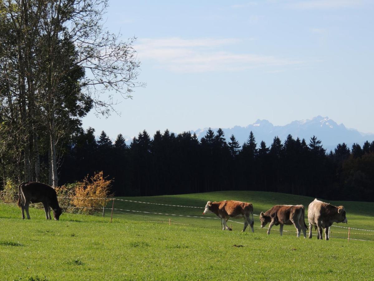 Ferienwohnung Butscher Isny im Allgäu Exterior foto